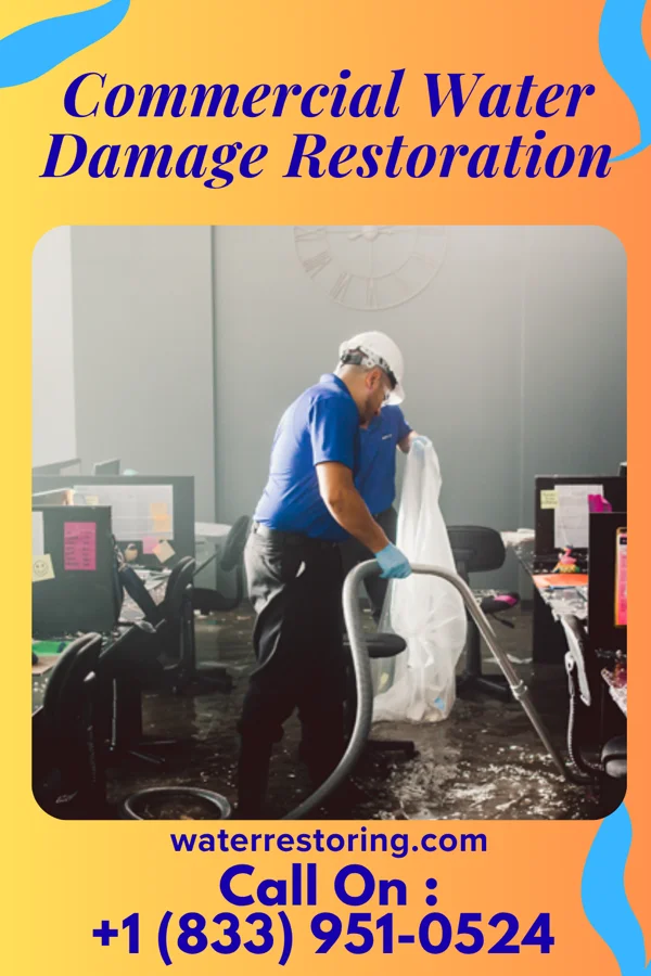 Commercial Water Damage Restoration in Roundup, MT