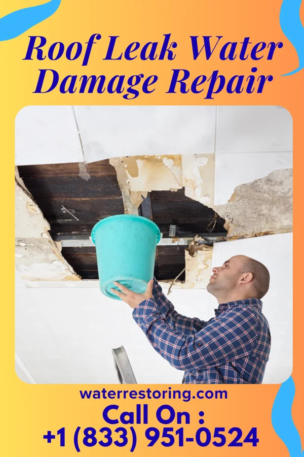 Roof Leak Water Damage Repair in Roundup, MT